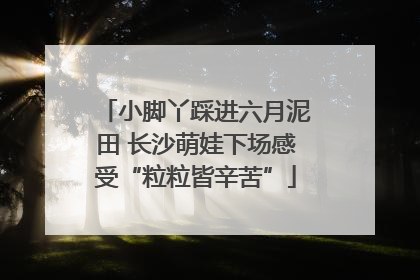 小脚丫踩进六月泥田 长沙萌娃下场感受“粒粒皆辛苦”
