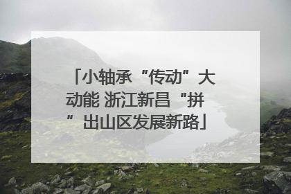 小轴承“传动”大动能 浙江新昌“拼”出山区发展新路
