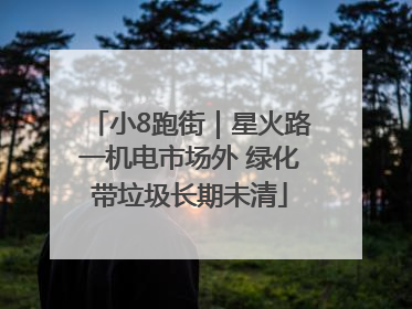 小8跑街｜星火路一机电市场外 绿化带垃圾长期未清