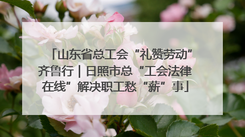 山东省总工会“礼赞劳动”齐鲁行｜日照市总“工会法律在线”解决职工愁“薪”事