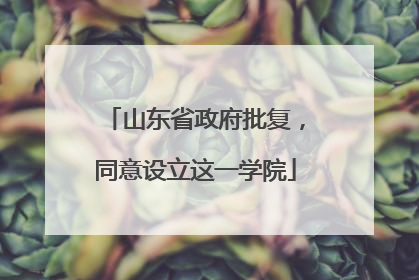 山东省政府批复，同意设立这一学院