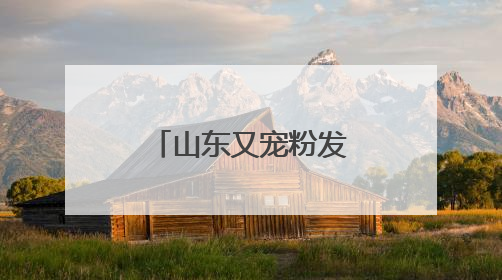 山东又宠粉发福利啦！六一端午出游，美团优惠券这样领