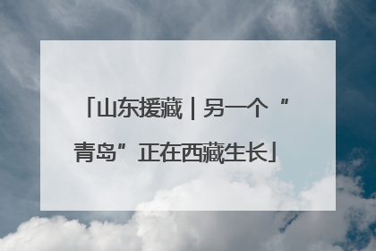 山东援藏｜另一个“青岛”正在西藏生长