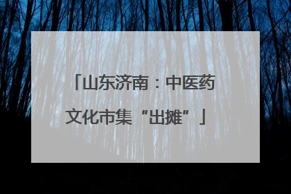 山东济南：中医药文化市集“出摊”