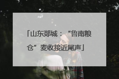 山东郯城：“鲁南粮仓”麦收接近尾声