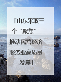 山东采取三个“聚焦” 推动民营经济服务业高质量发展