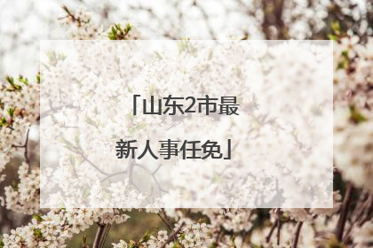 山东2市最新人事任免