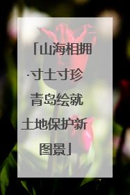 山海相拥·寸土寸珍 青岛绘就土地保护新图景