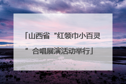 山西省“红领巾小百灵”合唱展演活动举行