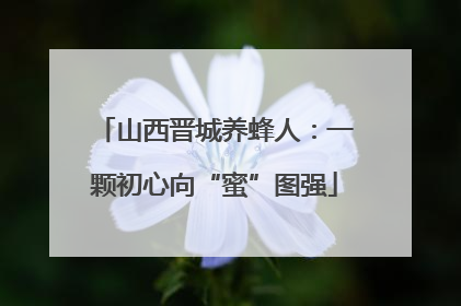 山西晋城养蜂人：一颗初心向“蜜”图强