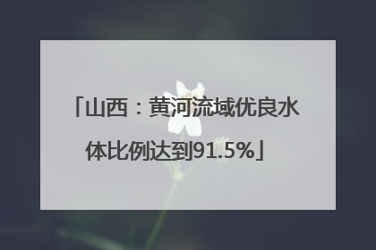 山西：黄河流域优良水体比例达到91.5%