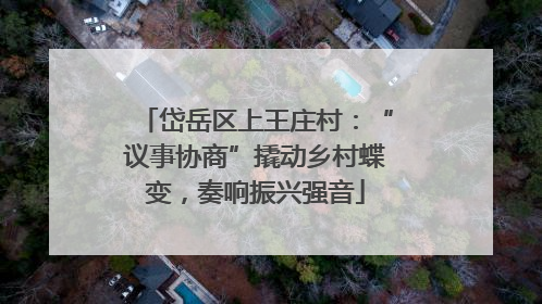 岱岳区上王庄村：“议事协商”撬动乡村蝶变，奏响振兴强音