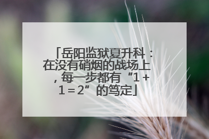 岳阳监狱夏升科：在没有硝烟的战场上，每一步都有“1＋1＝2”的笃定