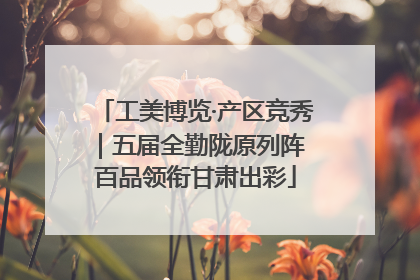 工美博览·产区竞秀｜五届全勤陇原列阵 百品领衔甘肃出彩