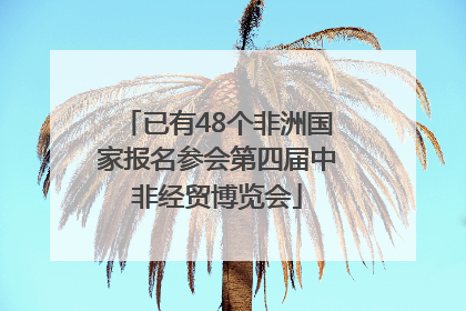 已有48个非洲国家报名参会第四届中非经贸博览会