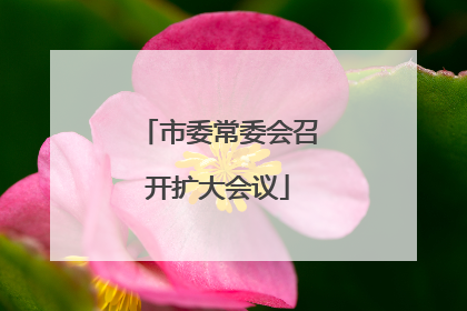 市委常委会召开扩大会议