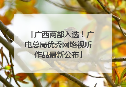广西两部入选！广电总局优秀网络视听作品最新公布