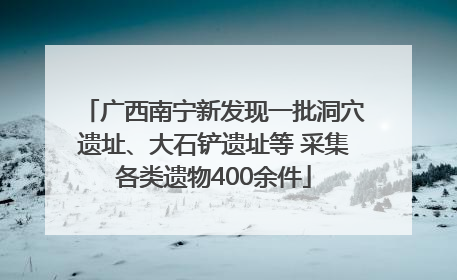 广西南宁新发现一批洞穴遗址、大石铲遗址等 采集各类遗物400余件