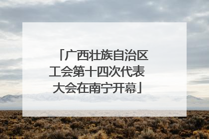 广西壮族自治区工会第十四次代表大会在南宁开幕