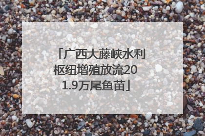 广西大藤峡水利枢纽增殖放流201.9万尾鱼苗