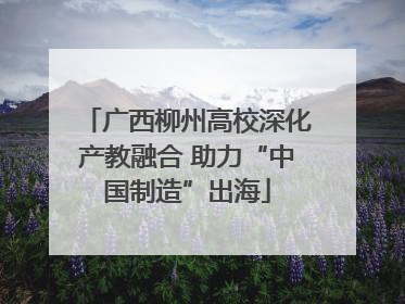 广西柳州高校深化产教融合 助力“中国制造”出海