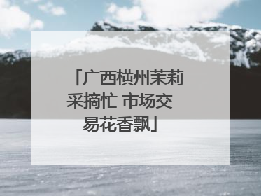 广西横州茉莉采摘忙 市场交易花香飘