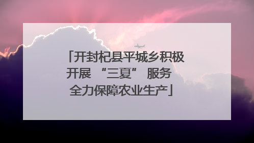开封杞县平城乡积极开展 “三夏” 服务 全力保障农业生产