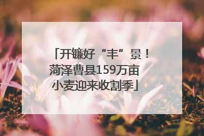 开镰好“丰”景！菏泽曹县159万亩小麦迎来收割季