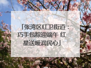 张湾区红卫街道：巧手包粽迎端午 红星送暖润民心