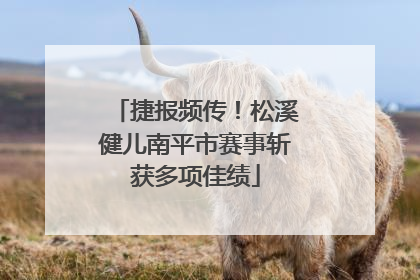 捷报频传！松溪健儿南平市赛事斩获多项佳绩