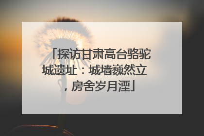 探访甘肃高台骆驼城遗址：城墙巍然立，房舍岁月湮