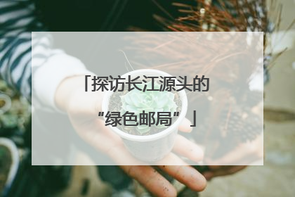 探访长江源头的“绿色邮局”