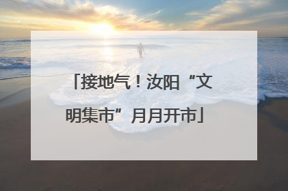 接地气！汝阳“文明集市”月月开市