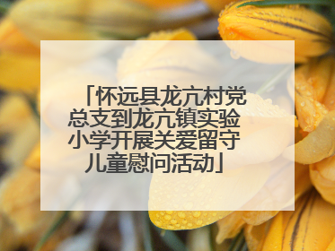 怀远县龙亢村党总支到龙亢镇实验小学开展关爱留守儿童慰问活动