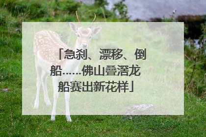 急刹、漂移、倒船……佛山叠滘龙船赛出新花样