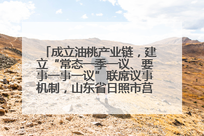 成立油桃产业链，建立“常态一季一议、要事一事一议”联席议事机制，山东省日照市莒县果庄镇——13个党小组“全周期”育果