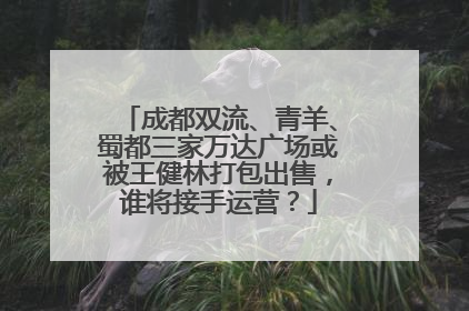 成都双流、青羊、蜀都三家万达广场或被王健林打包出售，谁将接手运营？