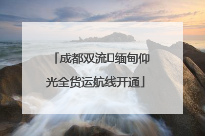 成都双流⇌缅甸仰光全货运航线开通