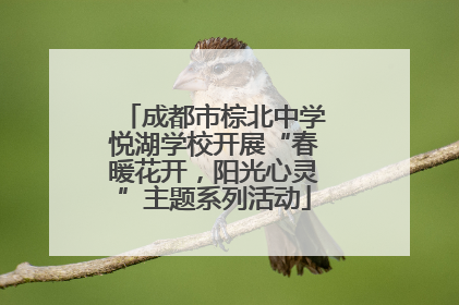 成都市棕北中学悦湖学校开展“春暖花开，阳光心灵”主题系列活动