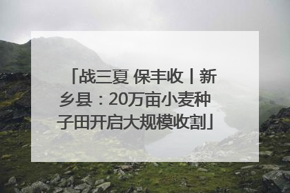 战三夏 保丰收丨新乡县：20万亩小麦种子田开启大规模收割