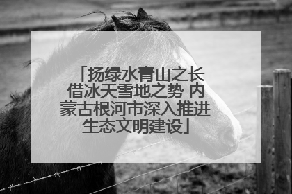 扬绿水青山之长 借冰天雪地之势 内蒙古根河市深入推进生态文明建设