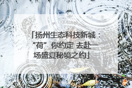 扬州生态科技新城：“荷”你约定 去赴一场盛夏秘境之约