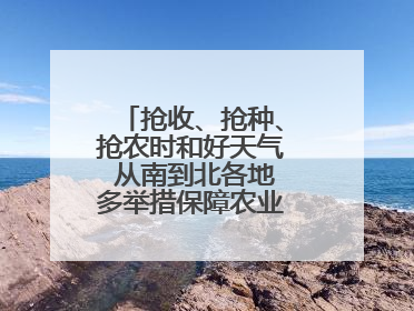 抢收、抢种、抢农时和好天气 从南到北各地多举措保障农业生产顺利进行