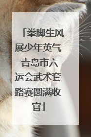 拳脚生风展少年英气 青岛市六运会武术套路赛圆满收官