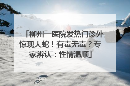 柳州一医院发热门诊外惊现大蛇！有毒无毒？专家辨认：性情温顺