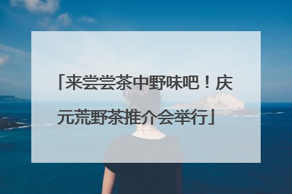 来尝尝茶中野味吧！庆元荒野茶推介会举行