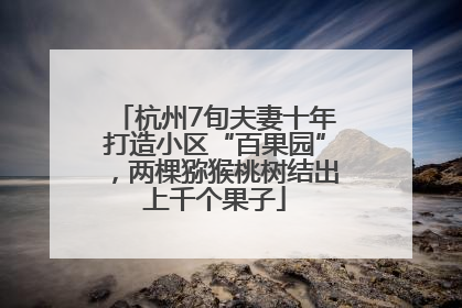 杭州7旬夫妻十年打造小区“百果园”，两棵猕猴桃树结出上千个果子