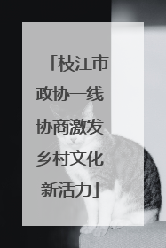 枝江市政协一线协商激发乡村文化新活力