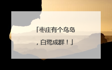 枣庄有个鸟岛，白鹭成群！