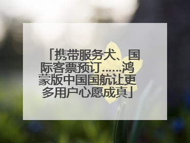 携带服务犬、国际客票预订……鸿蒙版中国国航让更多用户心愿成真